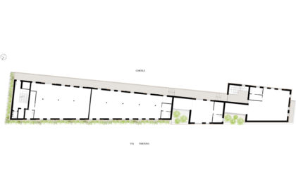 7-Addition-pianta