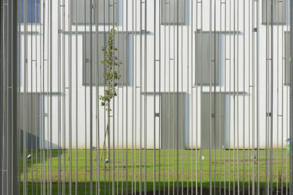 _dsc0993